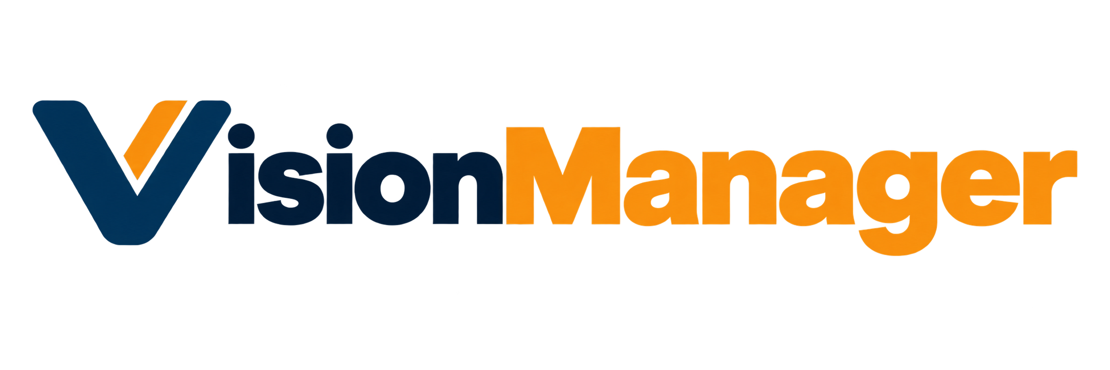 VisionManager